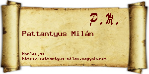 Pattantyus Milán névjegykártya
